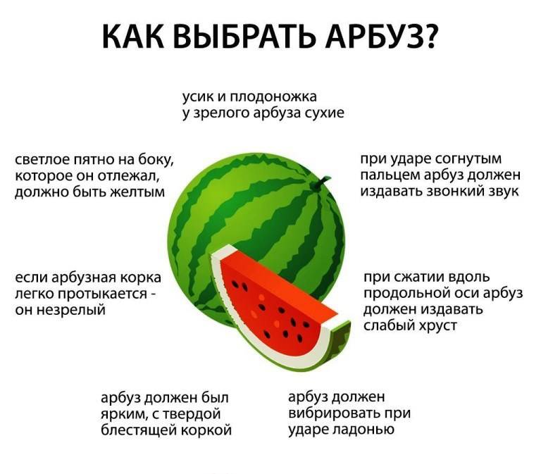 Можно ли есть косточки арбуза: польза и вред семян, применение