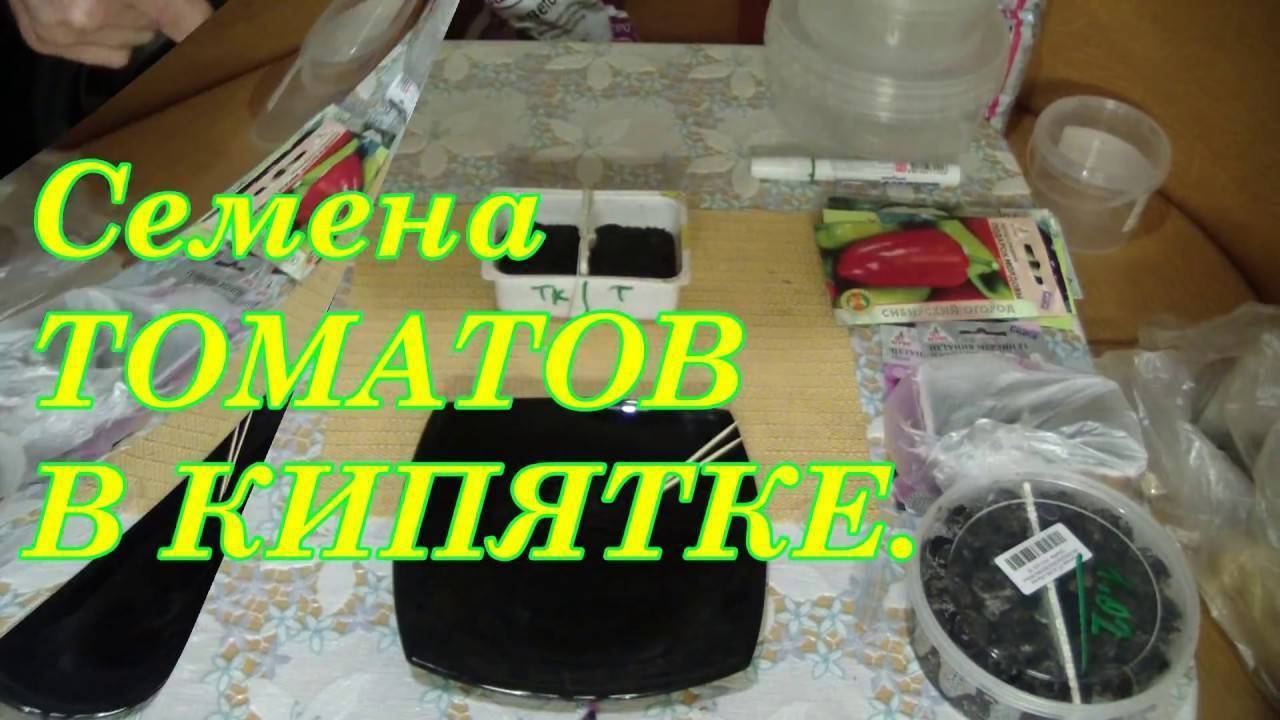 Как пикировать помидоры - лучшие способы пикировки в домашних условиях с подробными инструкциями от садовников
как пикировать помидоры - лучшие способы пикировки в домашних условиях с подробными инструкциями от садовников