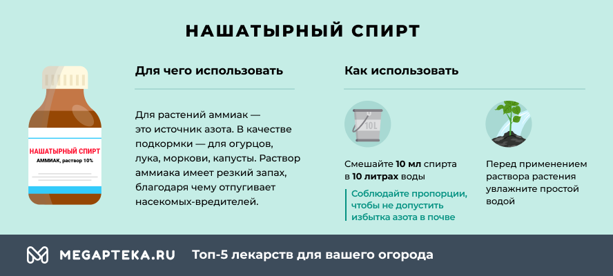 Подкормка перца нашатырным спиртом: нормы внесения