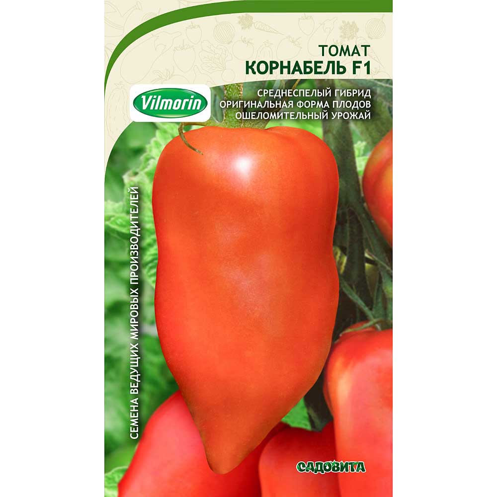 Корнабель: сладкий томат загадочной формы