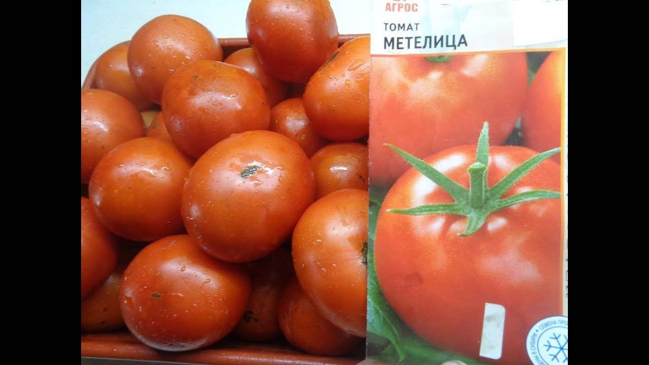 Сибирский сорт томата «метелица»: фото, отзывы, описание, характеристика, урожайность, видео
