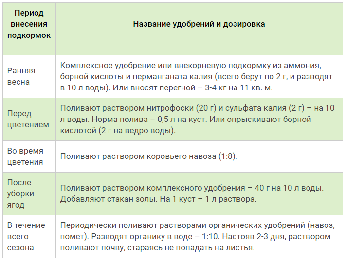 Схема подкормки ремонтантной клубники