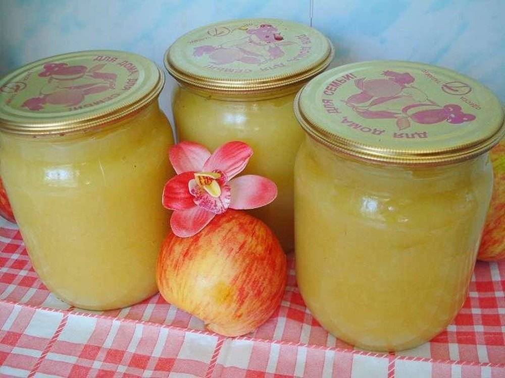 Заготовки на зиму: рецепт пюре неженка из яблок с добавлением сгущёнки