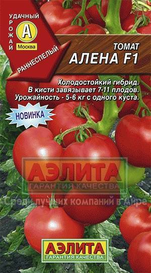 Томат "аленка": описание гибридного сорта f1, фото, рекомендации по выращиванию богатого урожая помидор