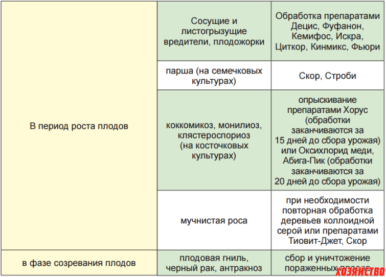 Обработка сада осенью от вредителей и болезней. Обработка яблонь и груш от вредителей и болезней. Схема обработки плодовых деревьев весной. Препараты для опрыскивания плодовых деревьев. Обработка деревьев весной от вредителей.