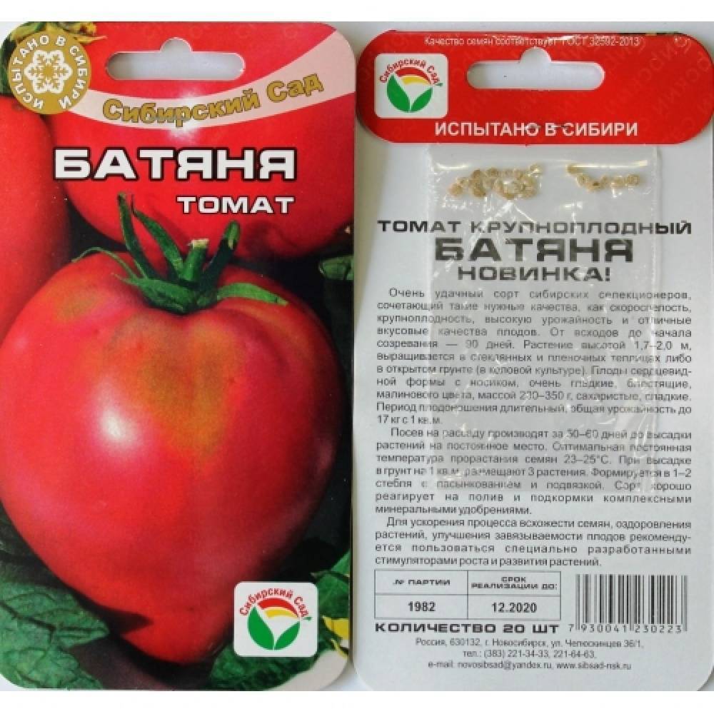 Томат батяня: отзывы с фото, характеристика и описание сорта помидоров, секреты повышения урожайности