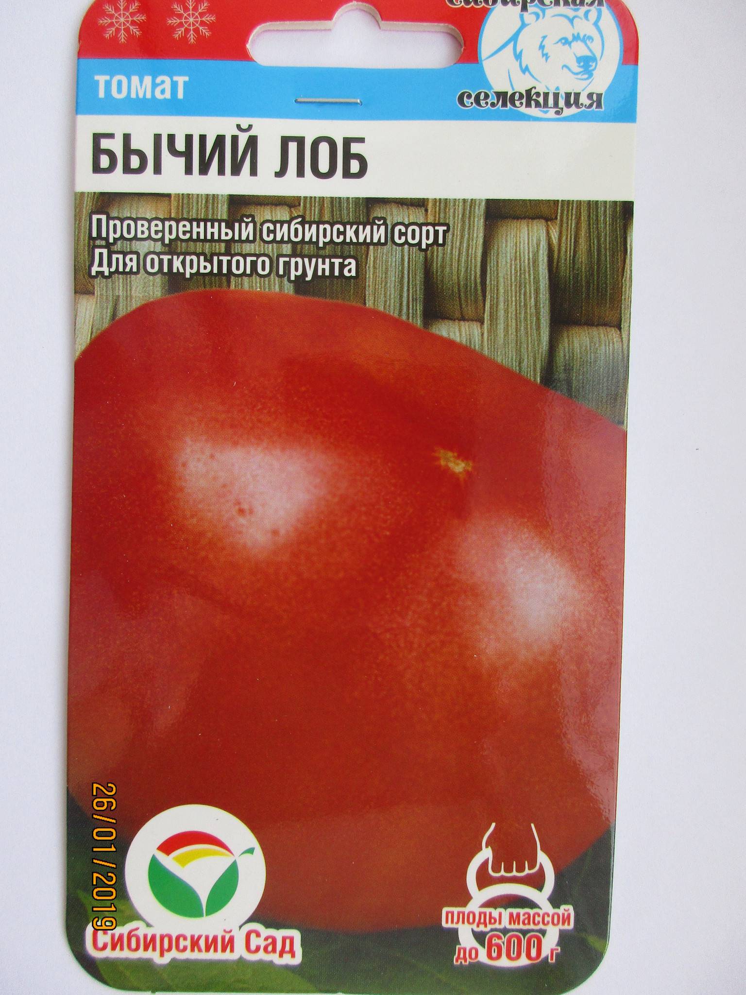Описание томата Бычий лоб, выращивание и уход за растением