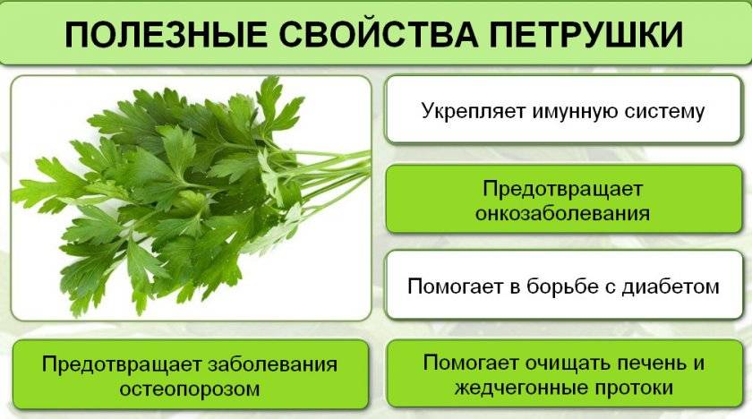 Польза огурцов для организма человека, вред, как влияют – эл клиника