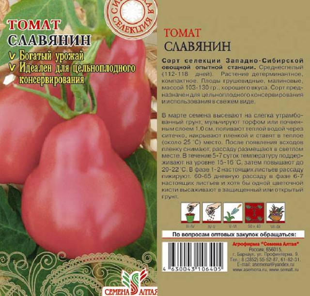Томат славянский шедевр: характеристика и описание сорта, отзывы садоводов с фото