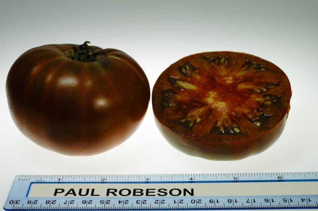 Характеристики и описание сорта томата поль робсон