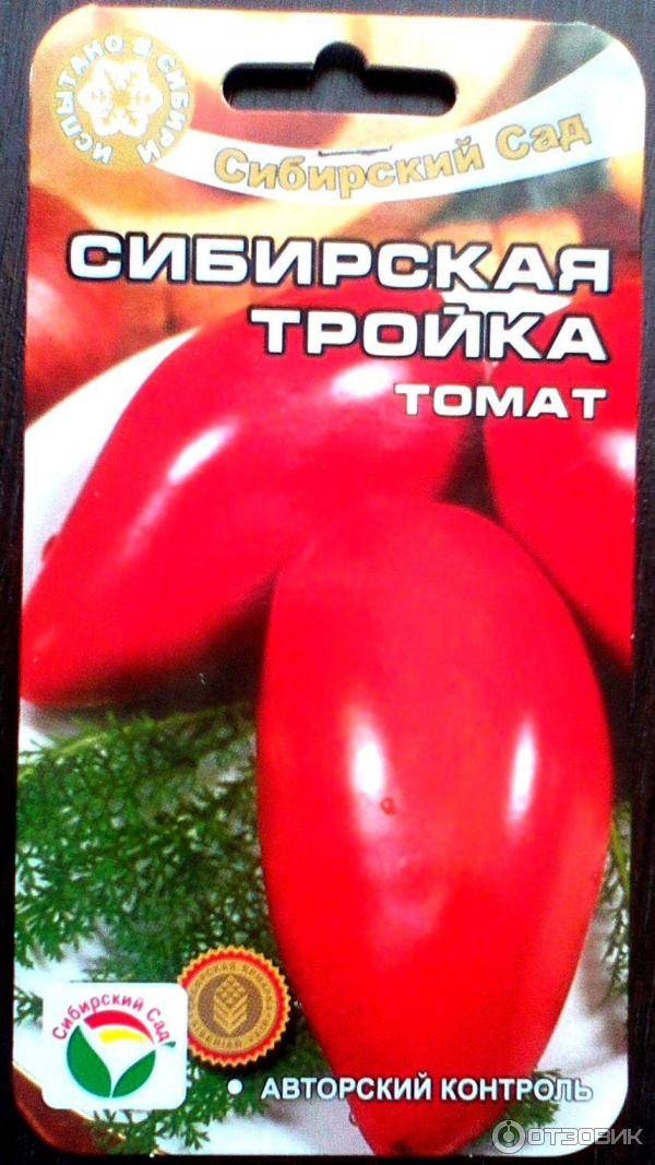 Описание томата сибирская тройка оригинальной продолговатой формы, отзывы и фото, правила выращивания, посадки, ухода, урожайность