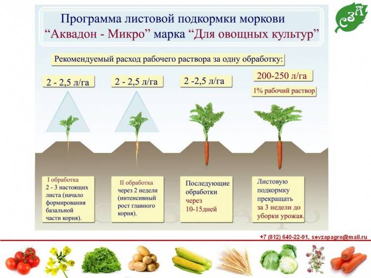 Удобрения для картофеля — органические и минеральные