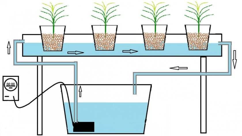 Самостоятельное изготовление установки для выращивания клубники методом гидропоники