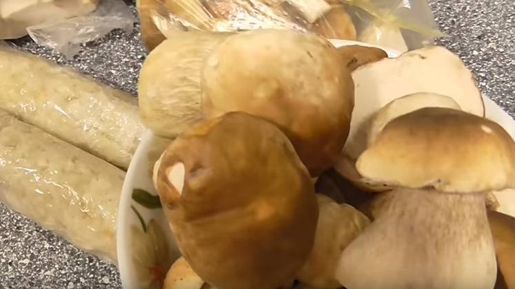Как правильно заморозить белые грибы на зиму в морозилке в домашних условиях: способы заморозки » сусеки