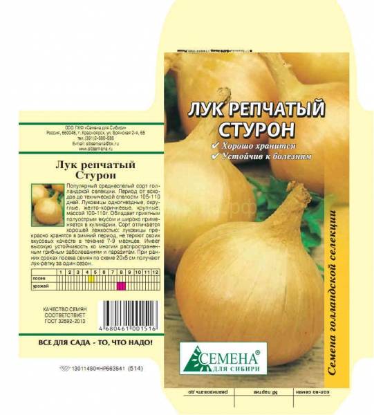 Лук-севок «стурон»: можно ли сажать под зиму и особенности ухода