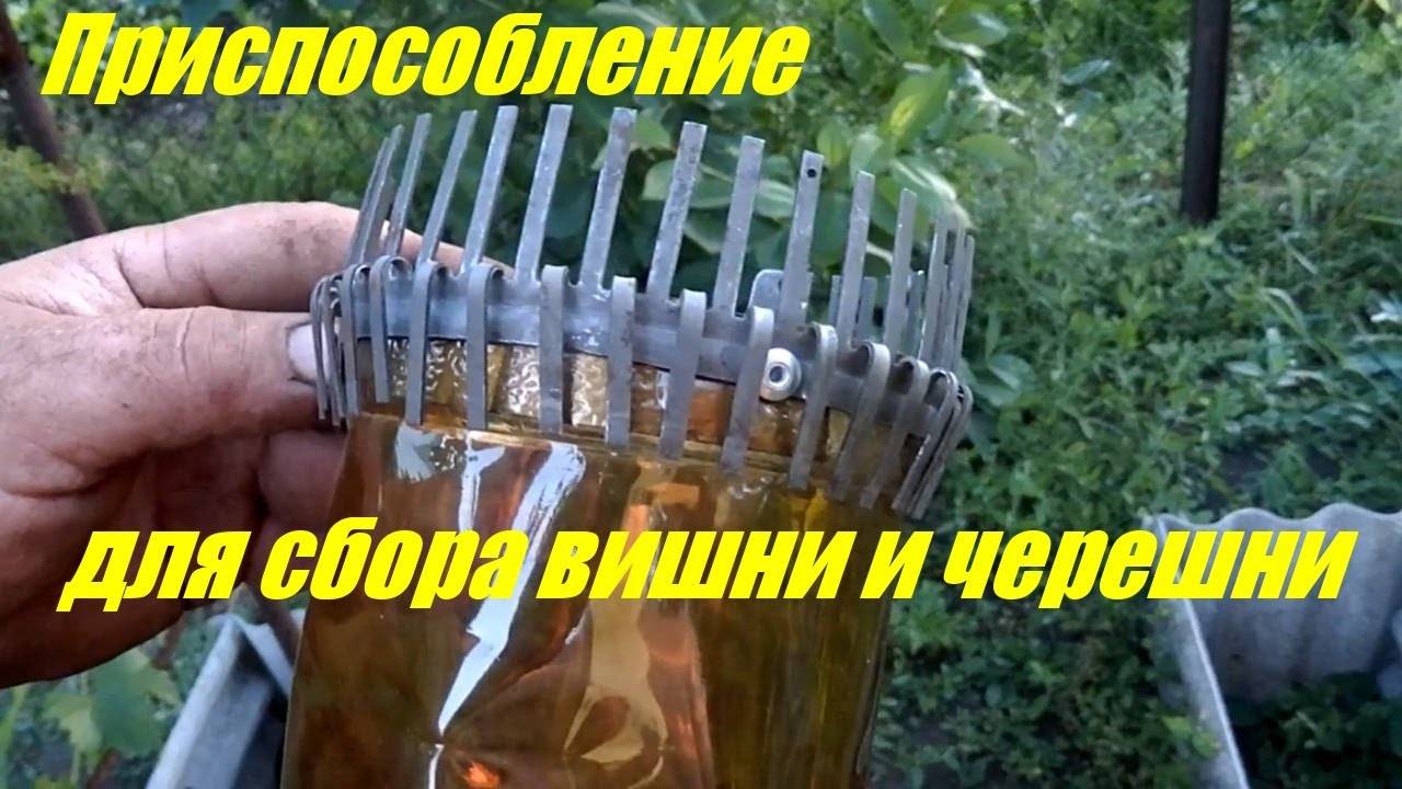 Плодосъемник виды инструмента магазинные и самодельные