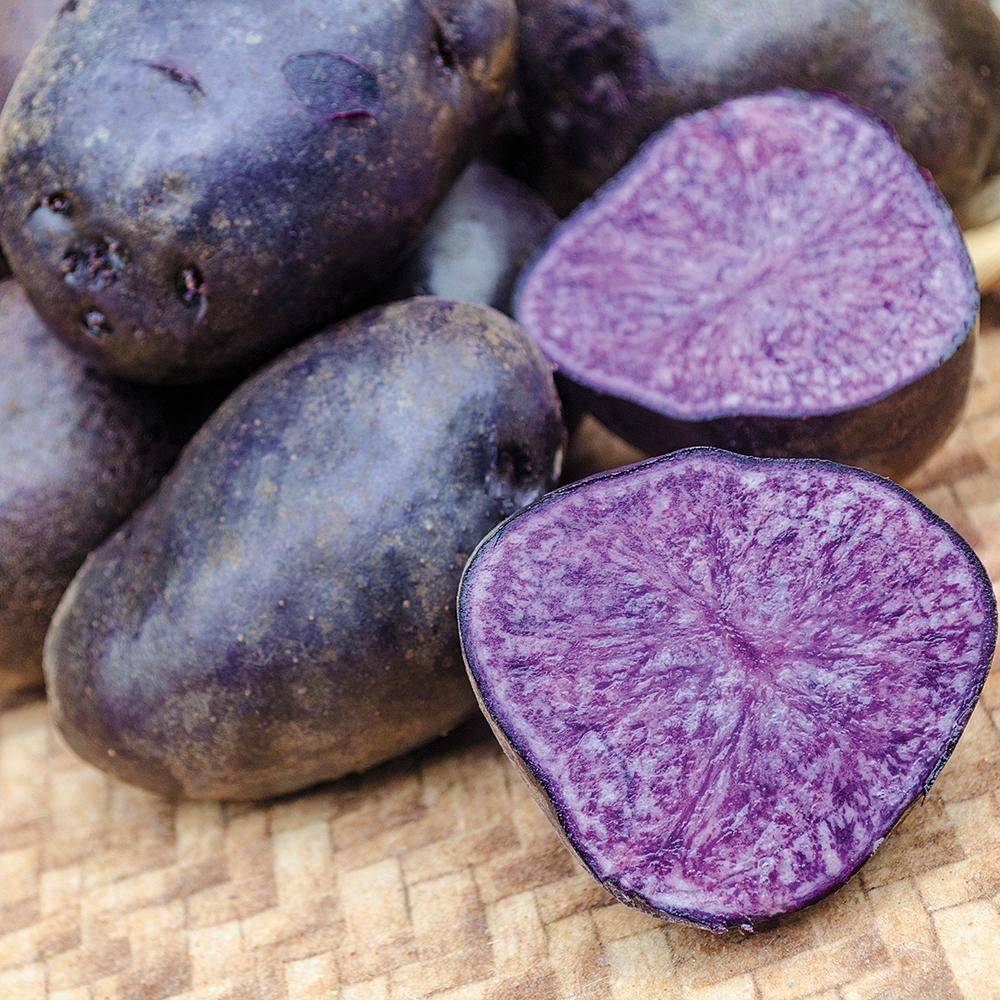 Фиолетовый картофель: сорта, как называются, характеристики и вкусовые качества