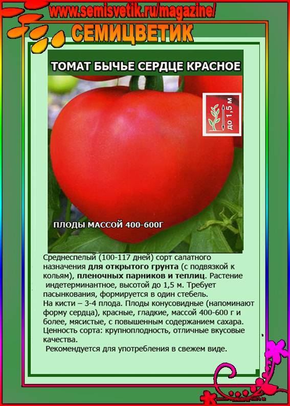 Свойства и характеристика томата Сахарные уста, рекомендации по выращиванию растения