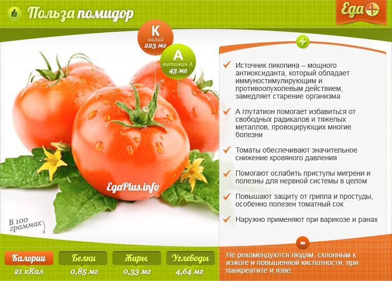 Какие витамины содержатся в помидорах и чем они полезны