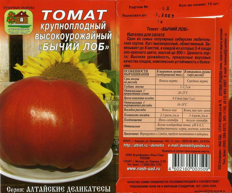 Сорт томата «бычий лоб»: неприхотливый богатырь — фазенда
