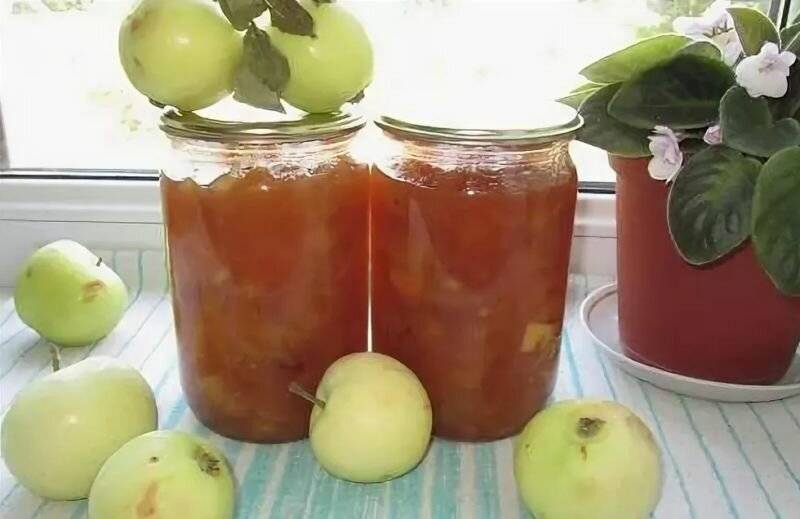 Повидло из яблок в домашних условиях - простые рецепты приготовления яблочного повидла
