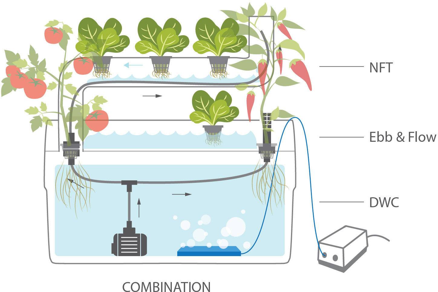 Выращивание клубники на гидропонике – оборудование, удобрения