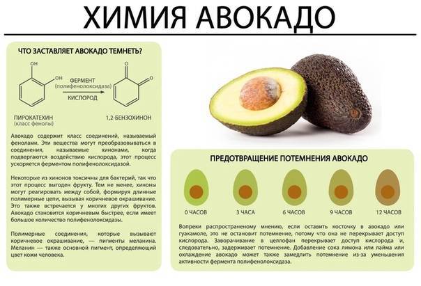 Выбор спелого авокадо: 2 эффективных способа