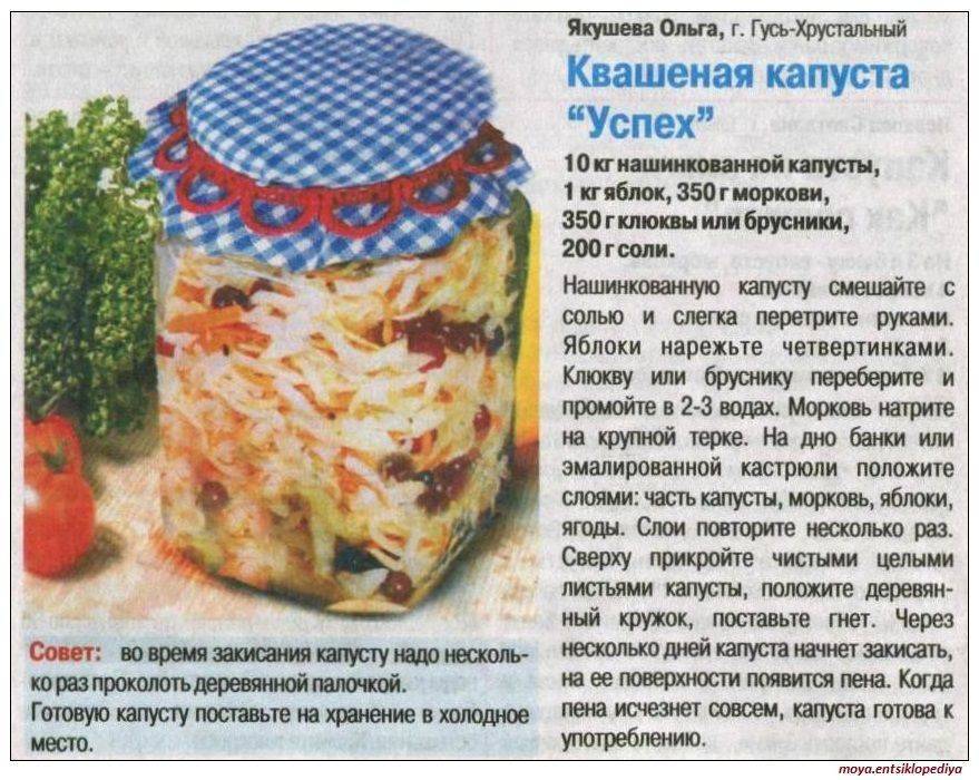 Вкусная и хрустящая квашеная капуста – классические рецепты на зиму