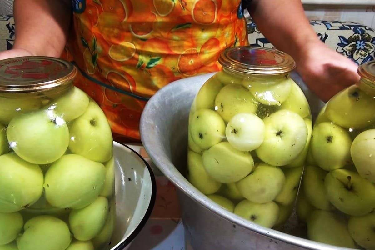 Вкусные рецепты маринования яблок на зиму своими руками
