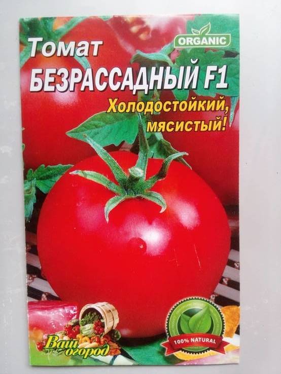 Томат безрассадный: отзывы, фото, урожайность, характеристика и описание сорта, достоинства и недостатки, особенности выращивания