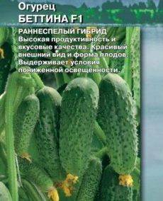Огурец беттина f1: описание сорта с фото, отзывы о семенах и урожае, особенности выращивания