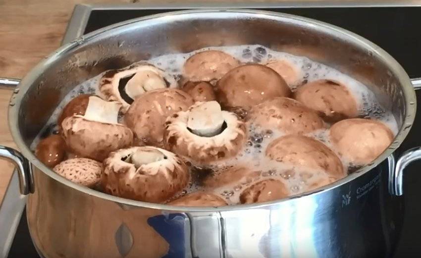 Рецепты быстрой засолки шампиньонов на зиму в домашних условиях