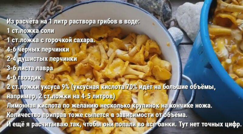 Лисички на зиму: рецепты приготовления