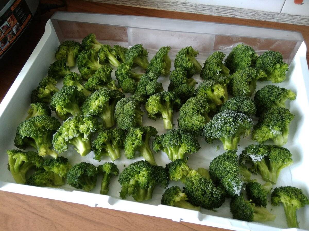 Как правильно заморозить капусту брокколи в домашних условиях на зиму в морозилке