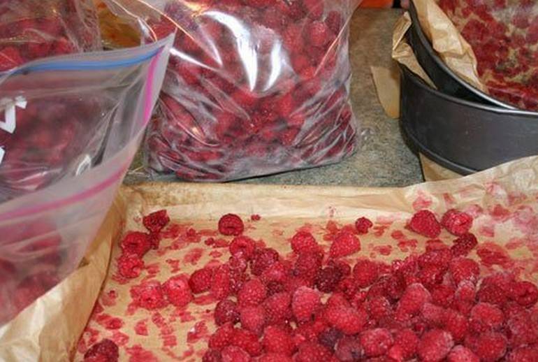 Как и в чем заморозить малину: подготовка ягоды и поэтапный процесс