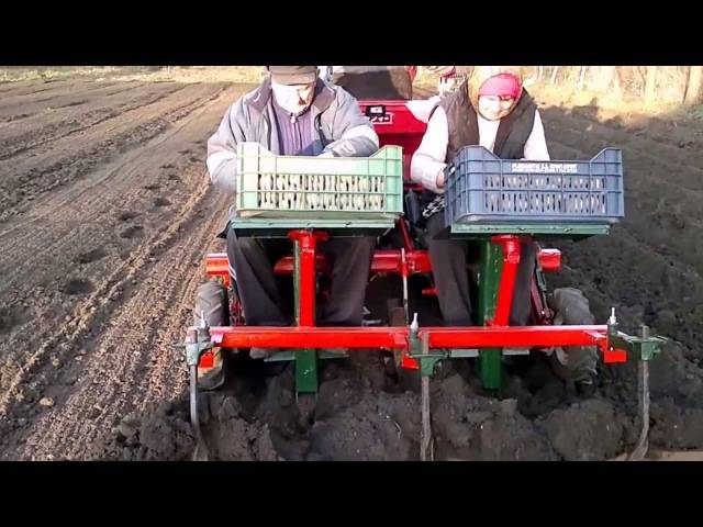 Трактор для посадки картофеля