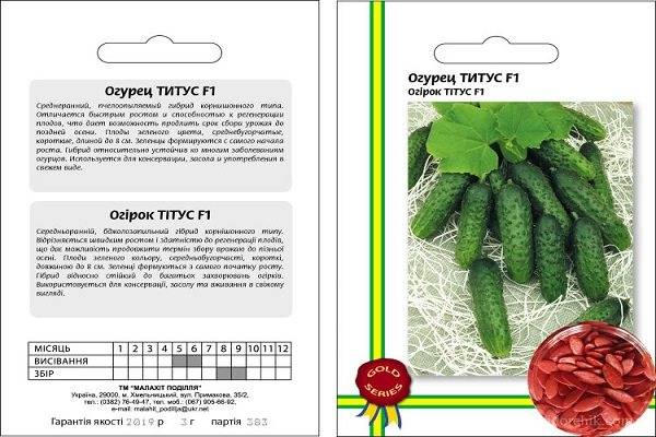 Лучшие сорта огурцов на 2023 год: самые урожайные, вкусные, для теплицы и открытого грунта