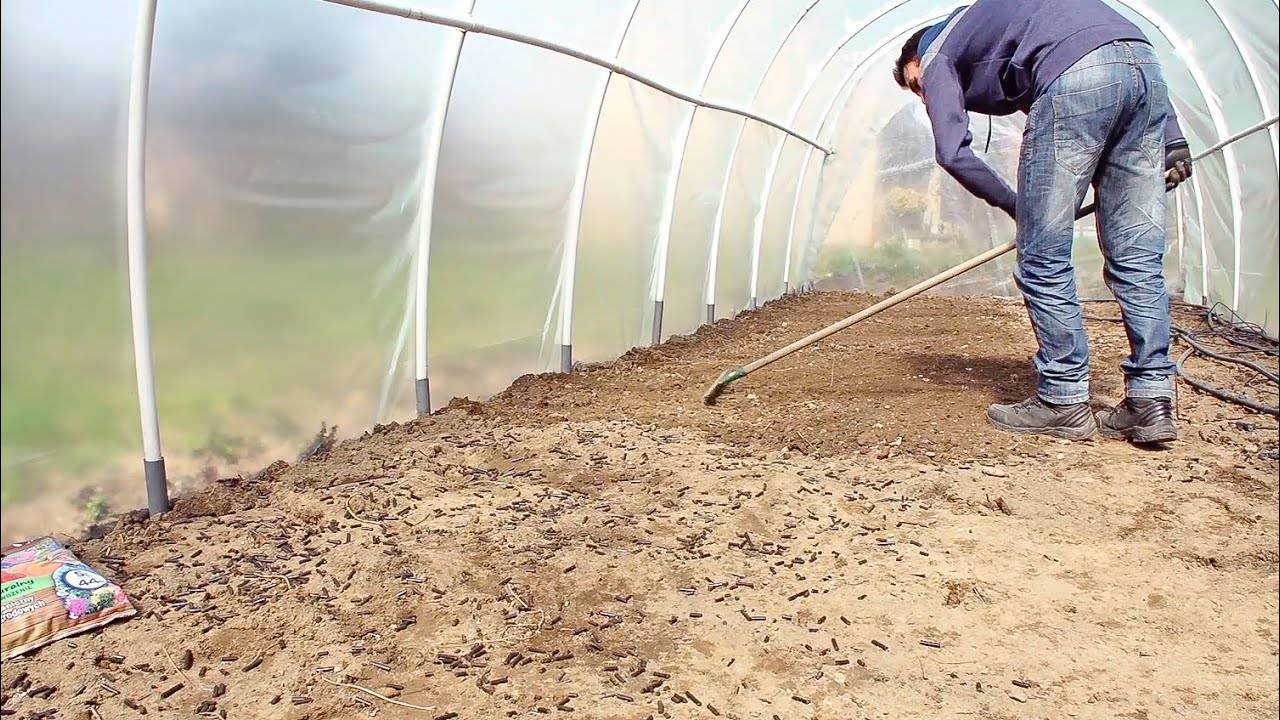 Подготовка и обработка почвы перед посадкой помидор
