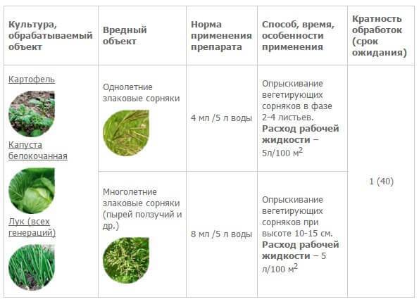 Как защитить капусту от вредителей без химикатов (натуральными средствами)