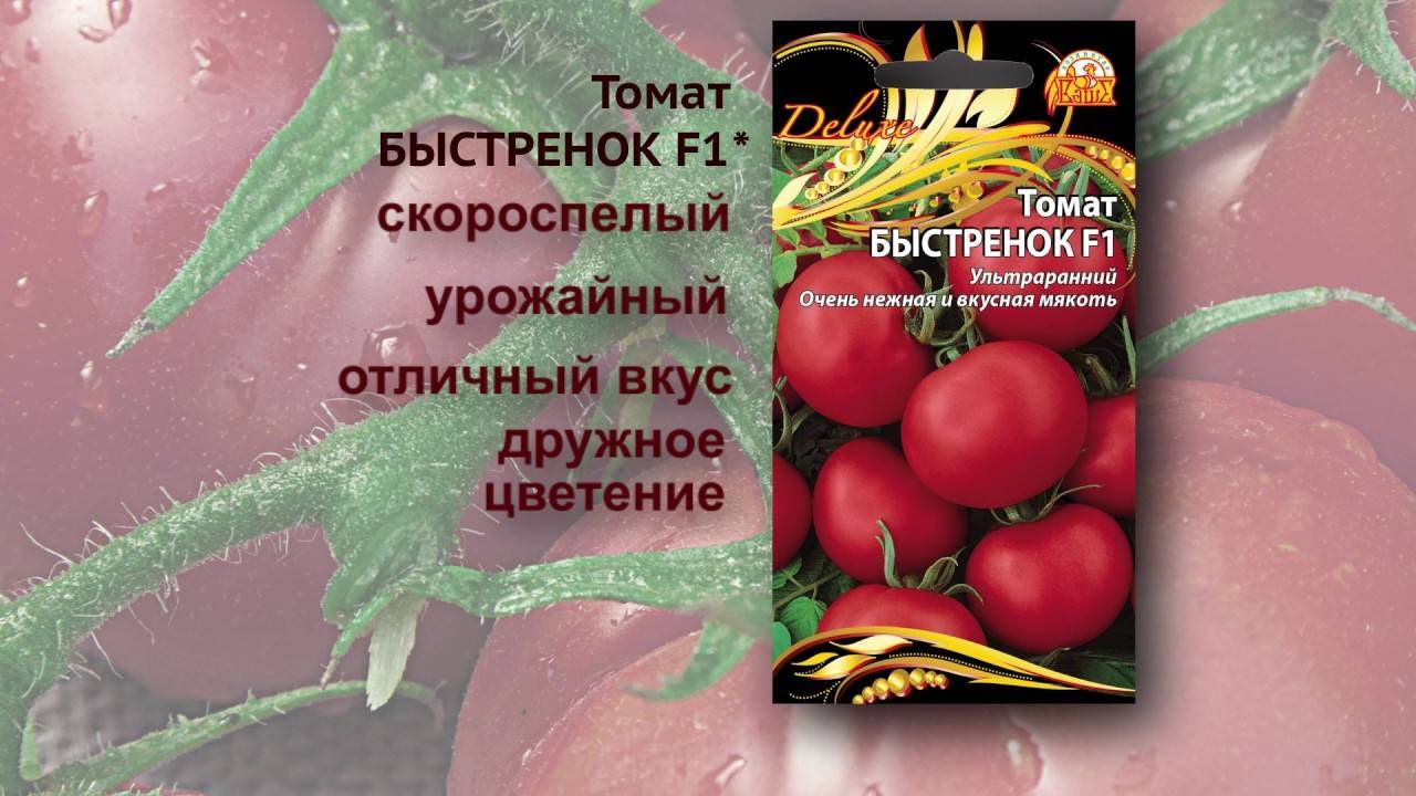 Описание и характеристика сорта томата Быстренок f1, его выращивание
