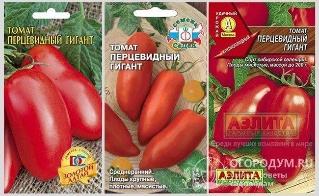 Описание томата испанский гигант, выращивание и правила посадки