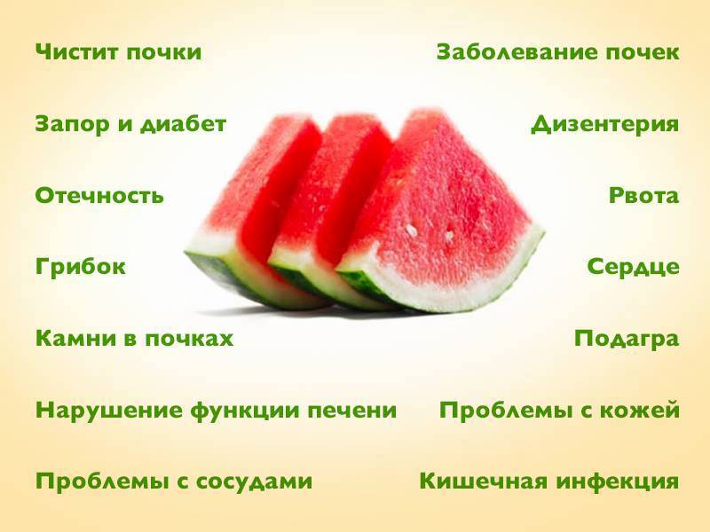 Польза и вред арбуза для здоровья человека, как выбрать ягоду