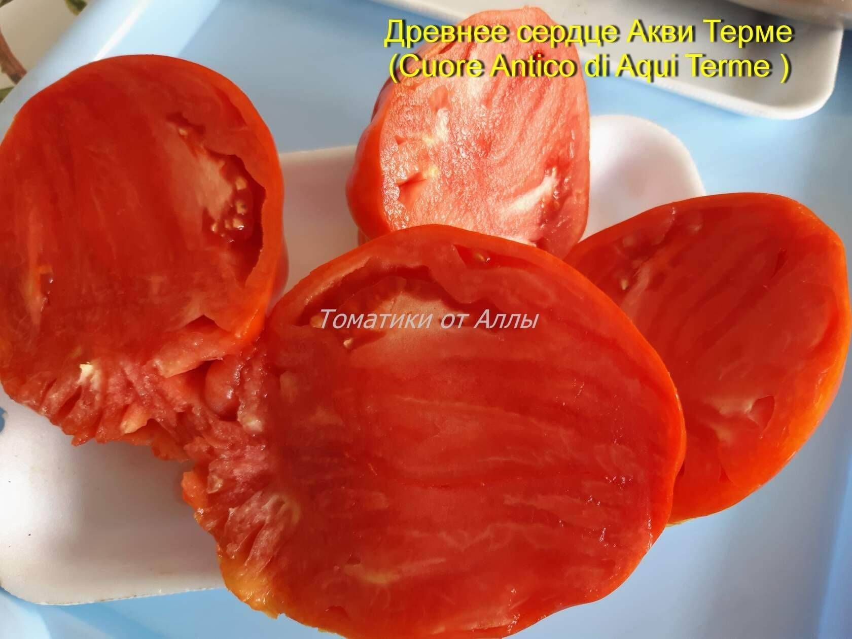 Cuore Antico di Acqui Terme томат