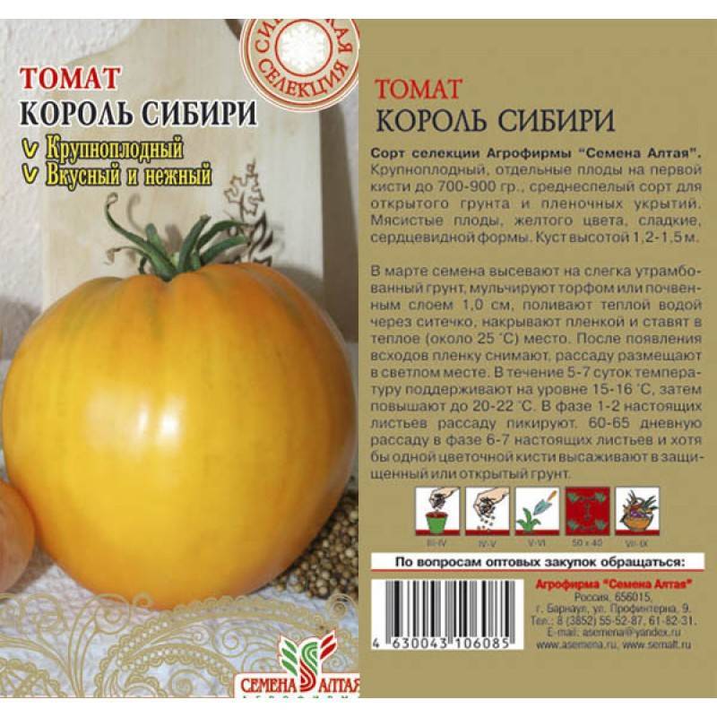 Томат чибис: описание сорта, рекомендации по выращиванию | сад и огород