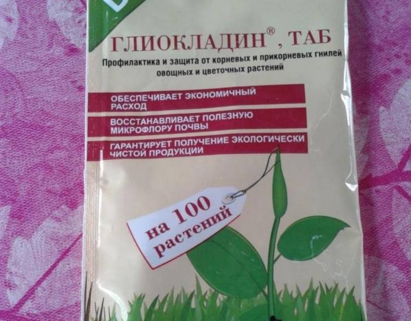 Глиокладин – биопрепарат для профилактики и борьбы с грибковыми заболеваниями