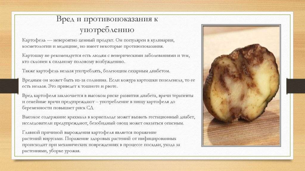 Мифы о картофеле, или какая картошка опасна для здоровья? польза и вред овоща. фото — ботаничка