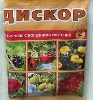 Фунгицид комфорт: инструкция по применению кс и состав, дозировка и аналоги
