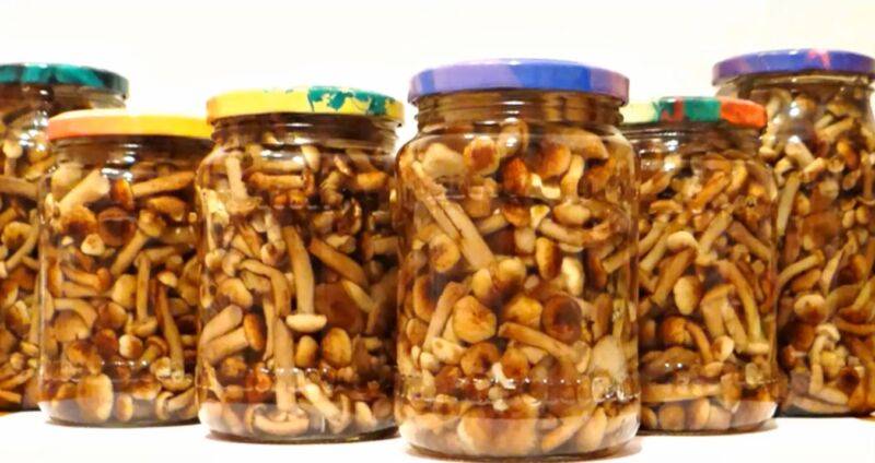 Маринованные опята на зиму: 5 самых вкусных рецептов