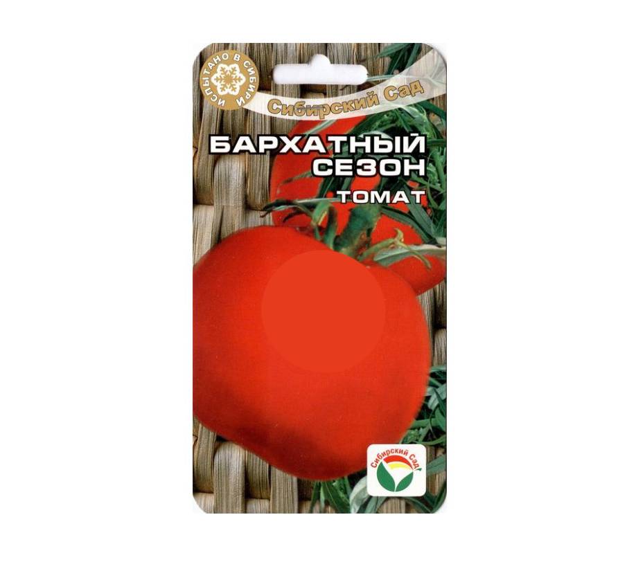 Лучшие сорта низкорослых помидоров: описания и фото