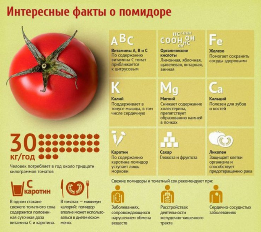 Какие витамины есть в помидорах: полезные витаминно-минеральные элементы и вредные вещества